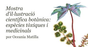 Bàner de la Mostra d'il·lustració científica botànica: espècies tòxiques i medicinals