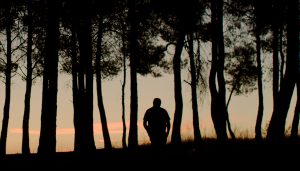 Banner de Saturno